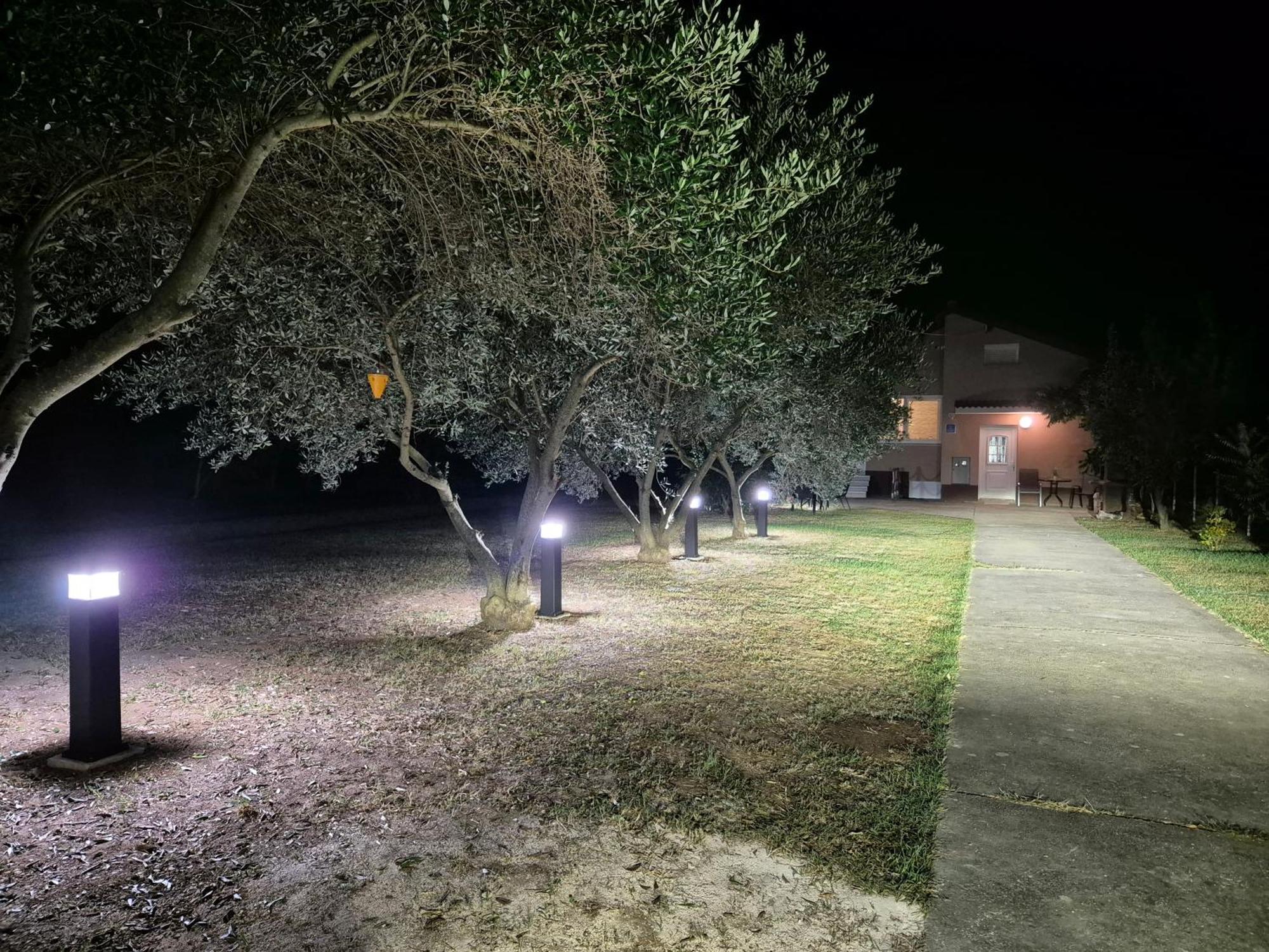 Holiday Home Begonja Privlaka  Εξωτερικό φωτογραφία